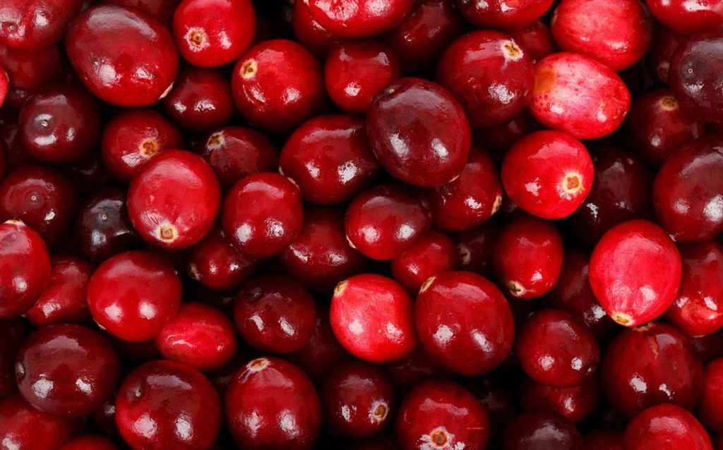 Canneberges