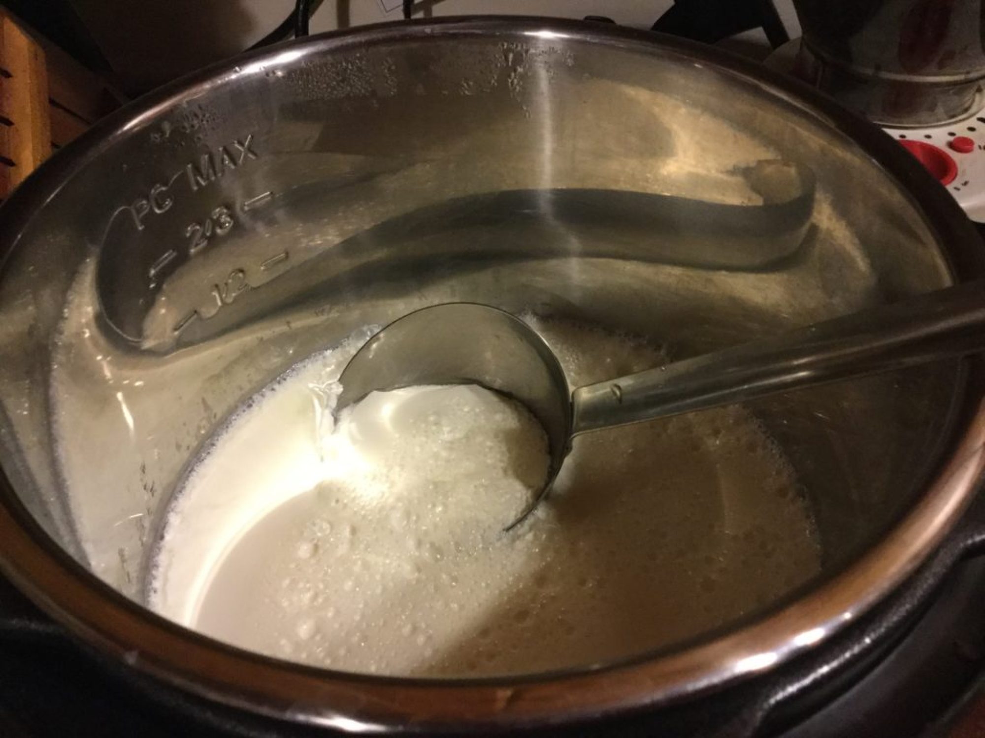 Yogourt instant pot