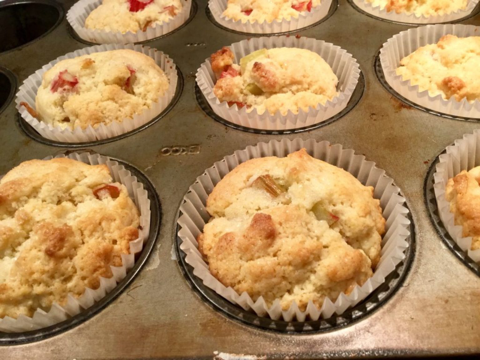 Rhubarb Muffins