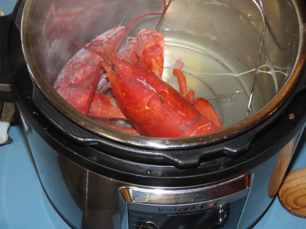 Cooking Lobster in Instant pot
