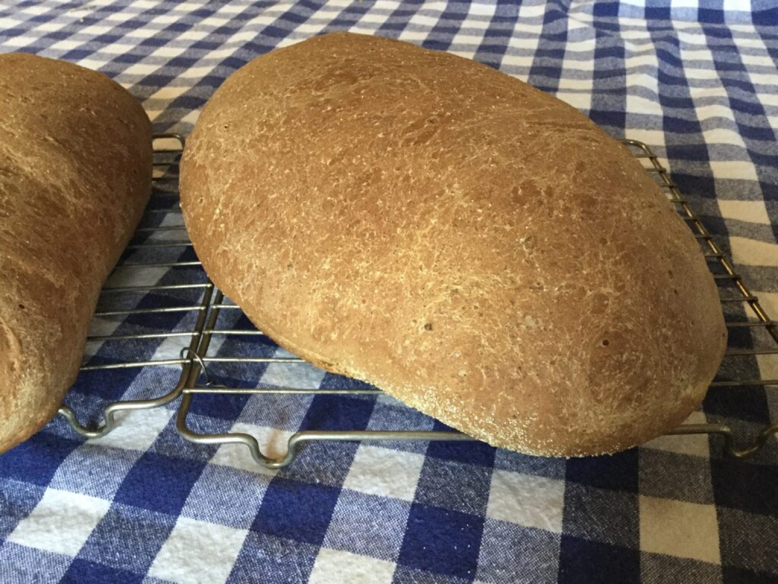 Rye Bread