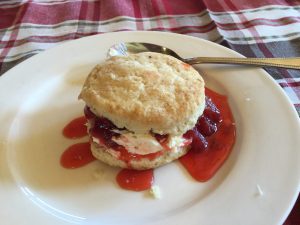 shortcakeauxfraises